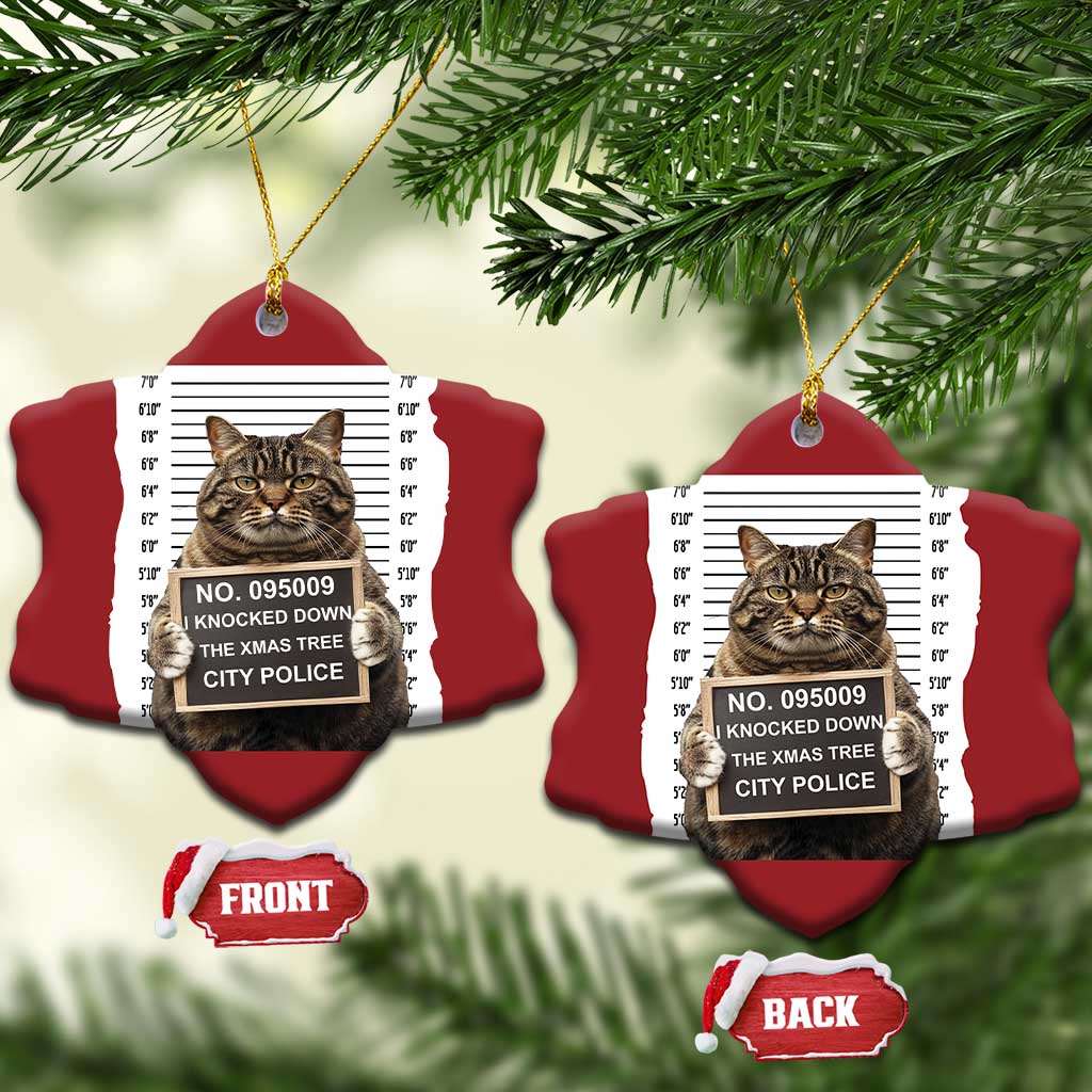 Funny Cat Xmas Christmas Ornament Mugshot I Knocked Down The Xmas Tree TS10