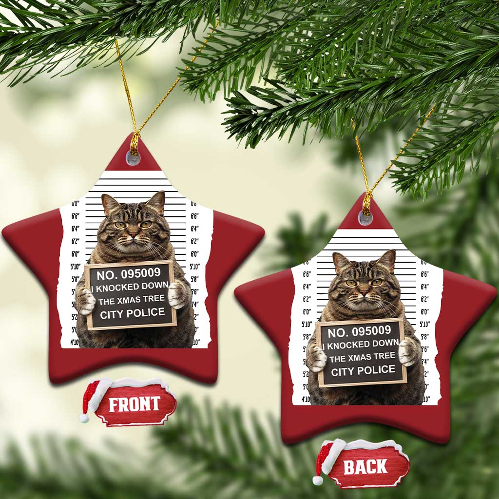 Funny Cat Xmas Christmas Ornament Mugshot I Knocked Down The Xmas Tree TS10