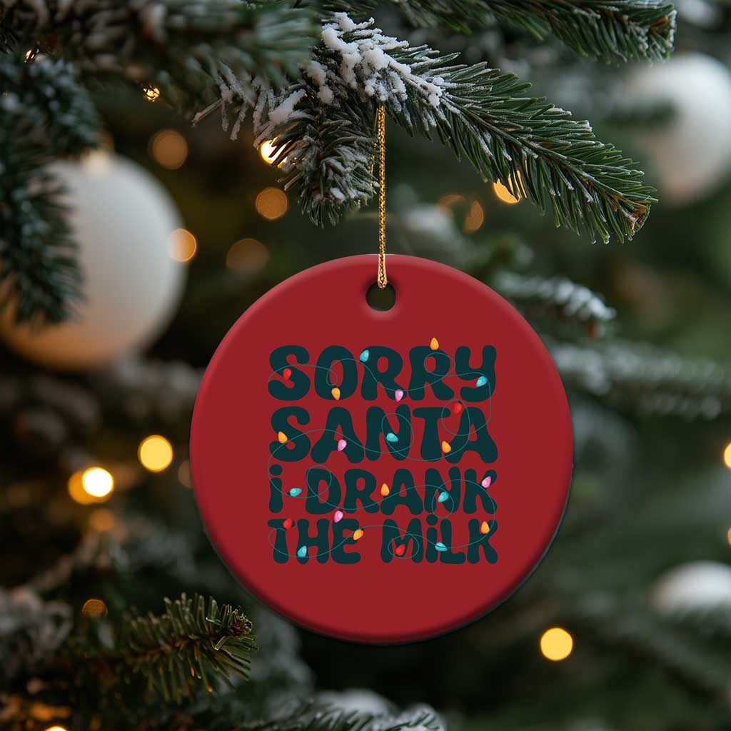 Baby Christmas Ornament Sorry Santa I Drank The Milk Xmas Lights Toddler TS10