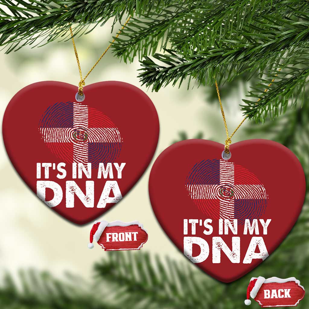 It's in My DNA Dominican Flag Christmas Ornament TS10