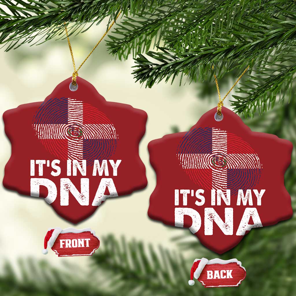 It's in My DNA Dominican Flag Christmas Ornament TS10