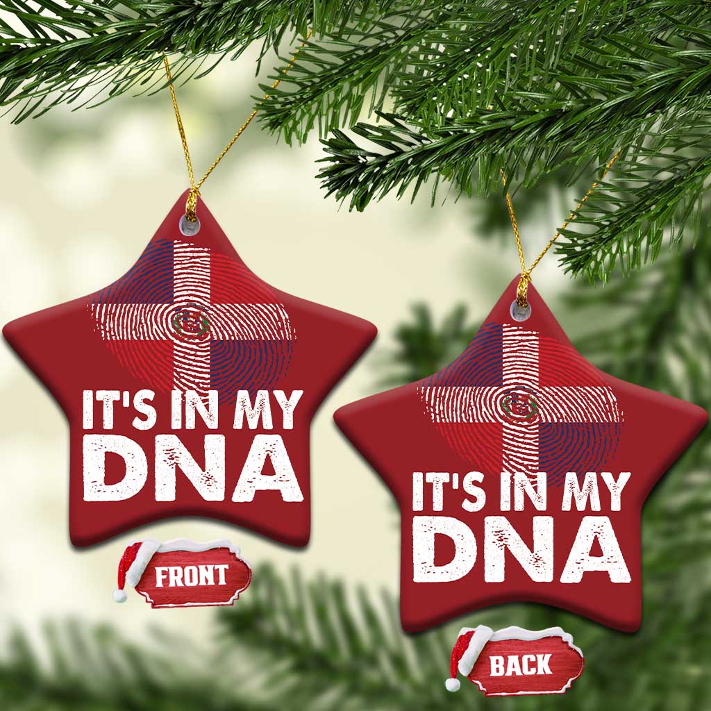 It's in My DNA Dominican Flag Christmas Ornament TS10