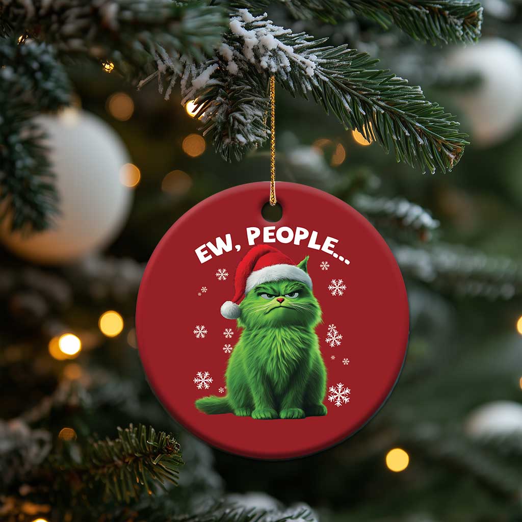 Funny Cat Christmas Ornament Ew People Xmas Gag Gift TS10