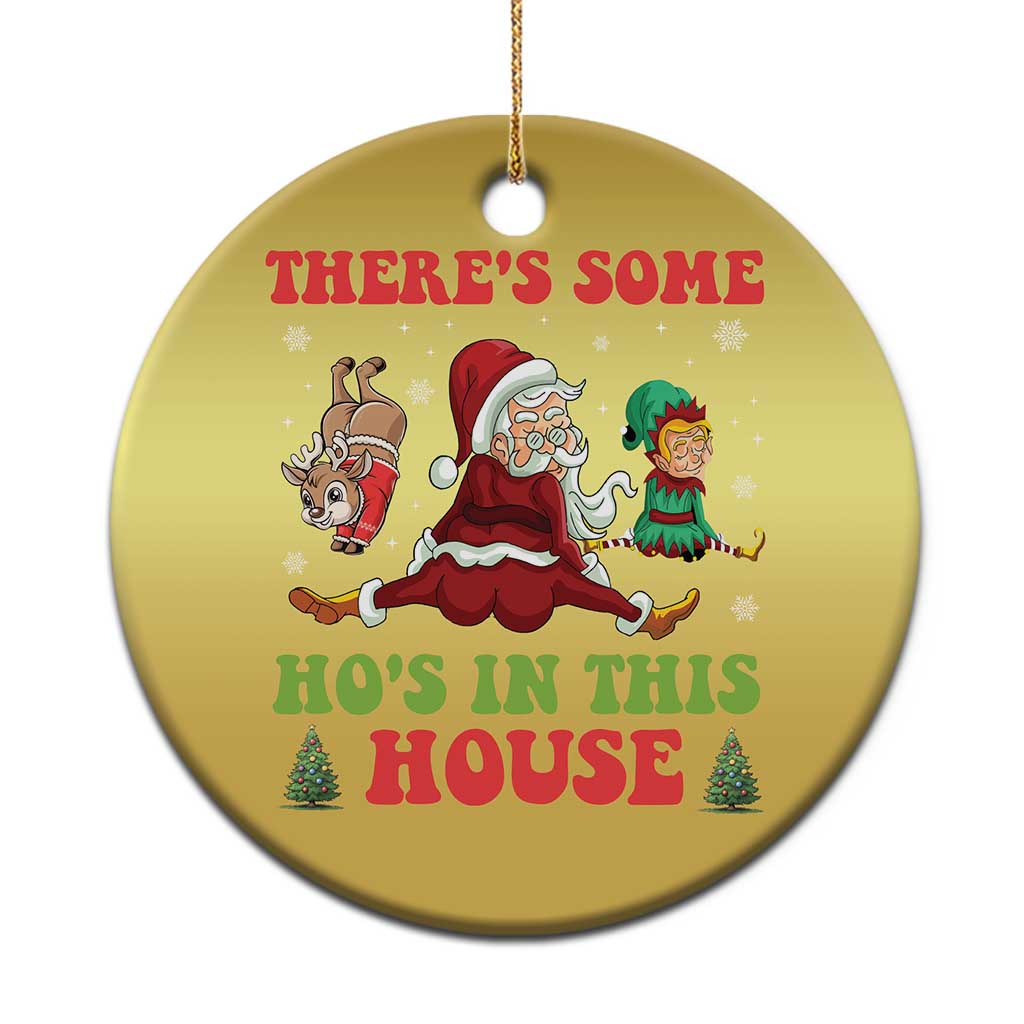 Funny Xmas Naughty Santa Christmas Ornament There's Some Ho's In This House Elf Reindeers TS11