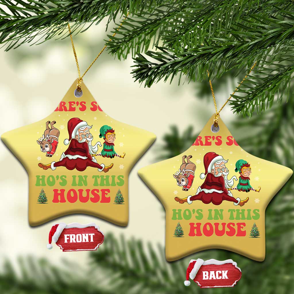 Funny Xmas Naughty Santa Christmas Ornament There's Some Ho's In This House Elf Reindeers TS11