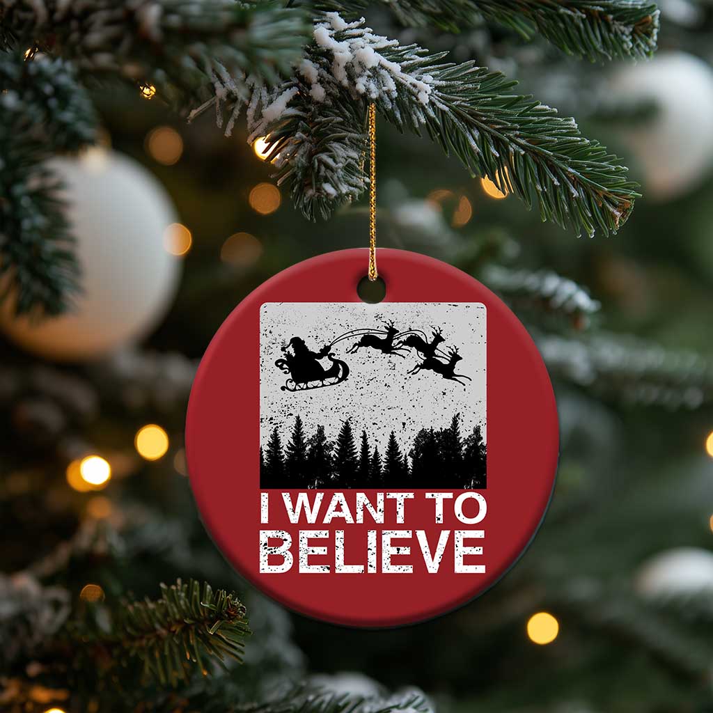 Funny Xmas Santa Christmas Ornament I Want To Believe Sleigh With Reindeers TS11