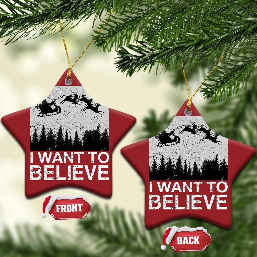 Funny Xmas Santa Christmas Ornament I Want To Believe Sleigh With Reindeers TS11