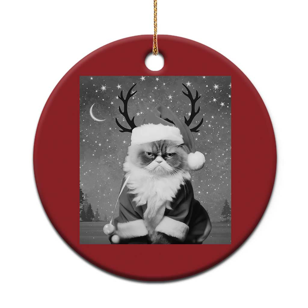 Funny Xmas Santa Grumpy Cat Christmas Ornament TS11