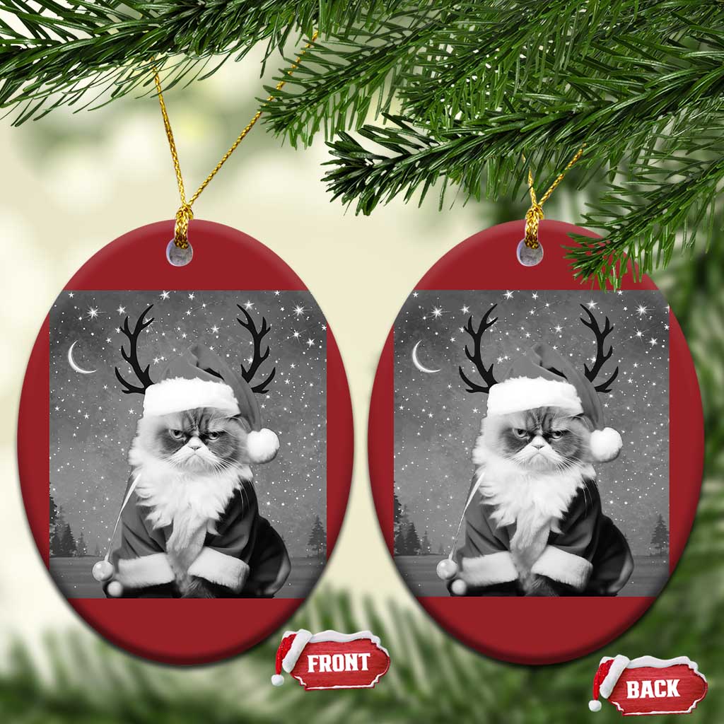 Funny Xmas Santa Grumpy Cat Christmas Ornament TS11