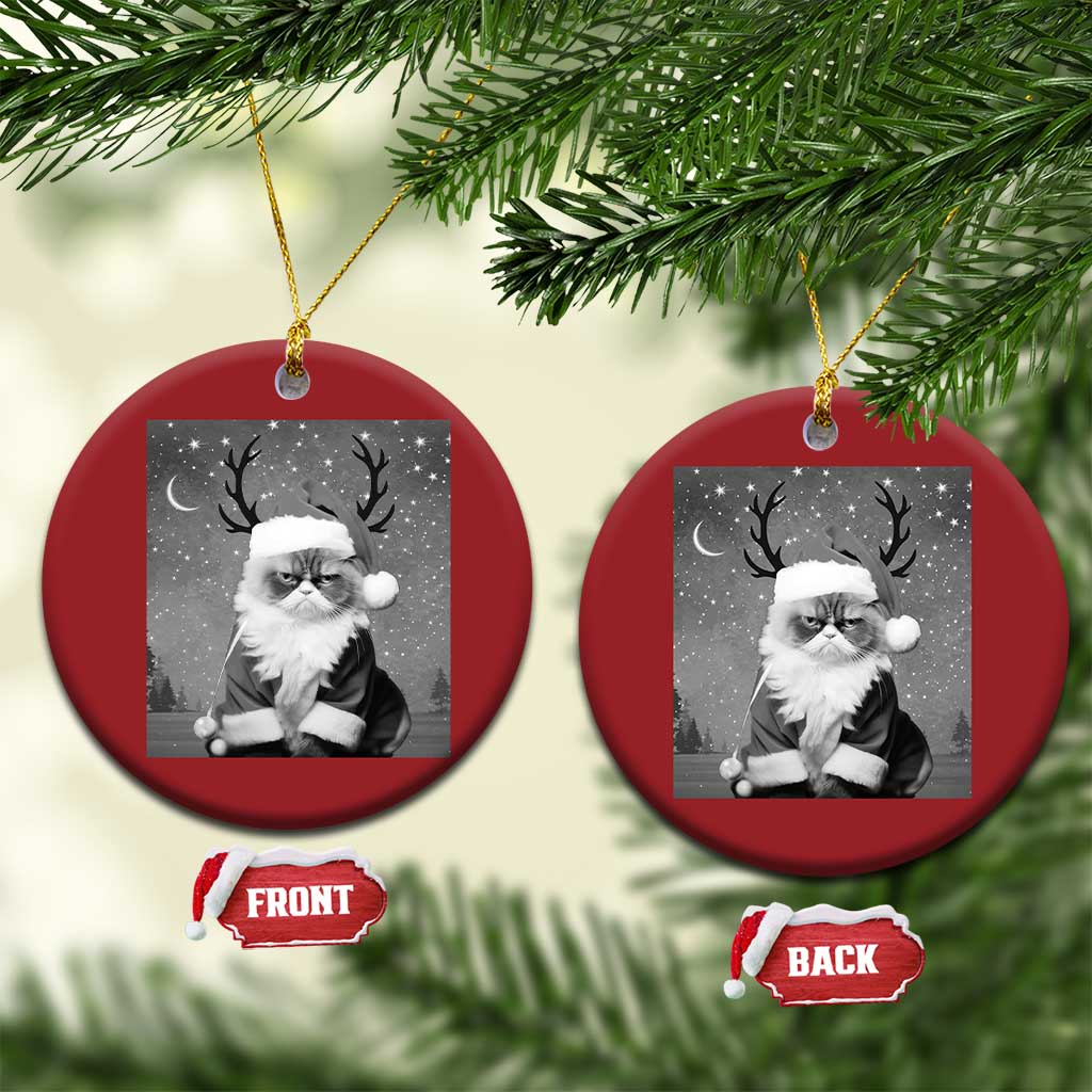 Funny Xmas Santa Grumpy Cat Christmas Ornament TS11