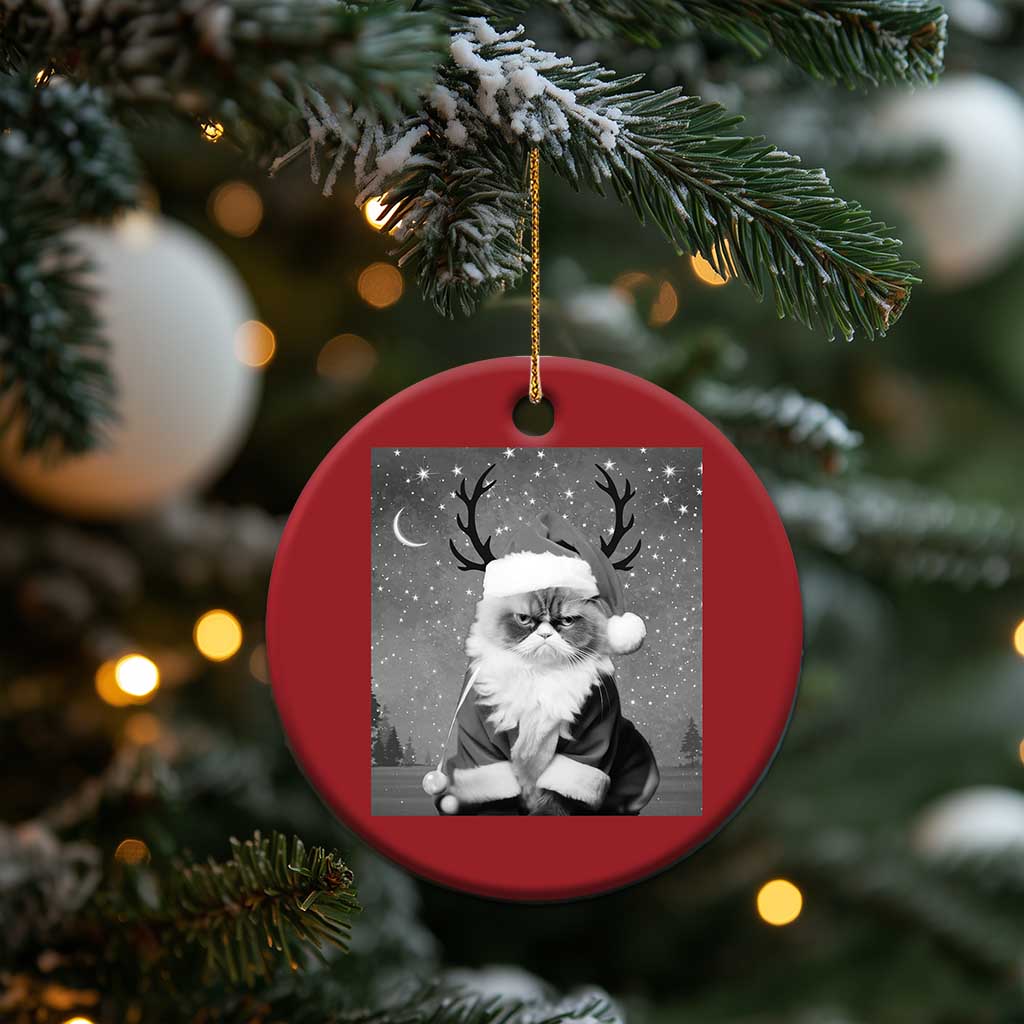 Funny Xmas Santa Grumpy Cat Christmas Ornament TS11