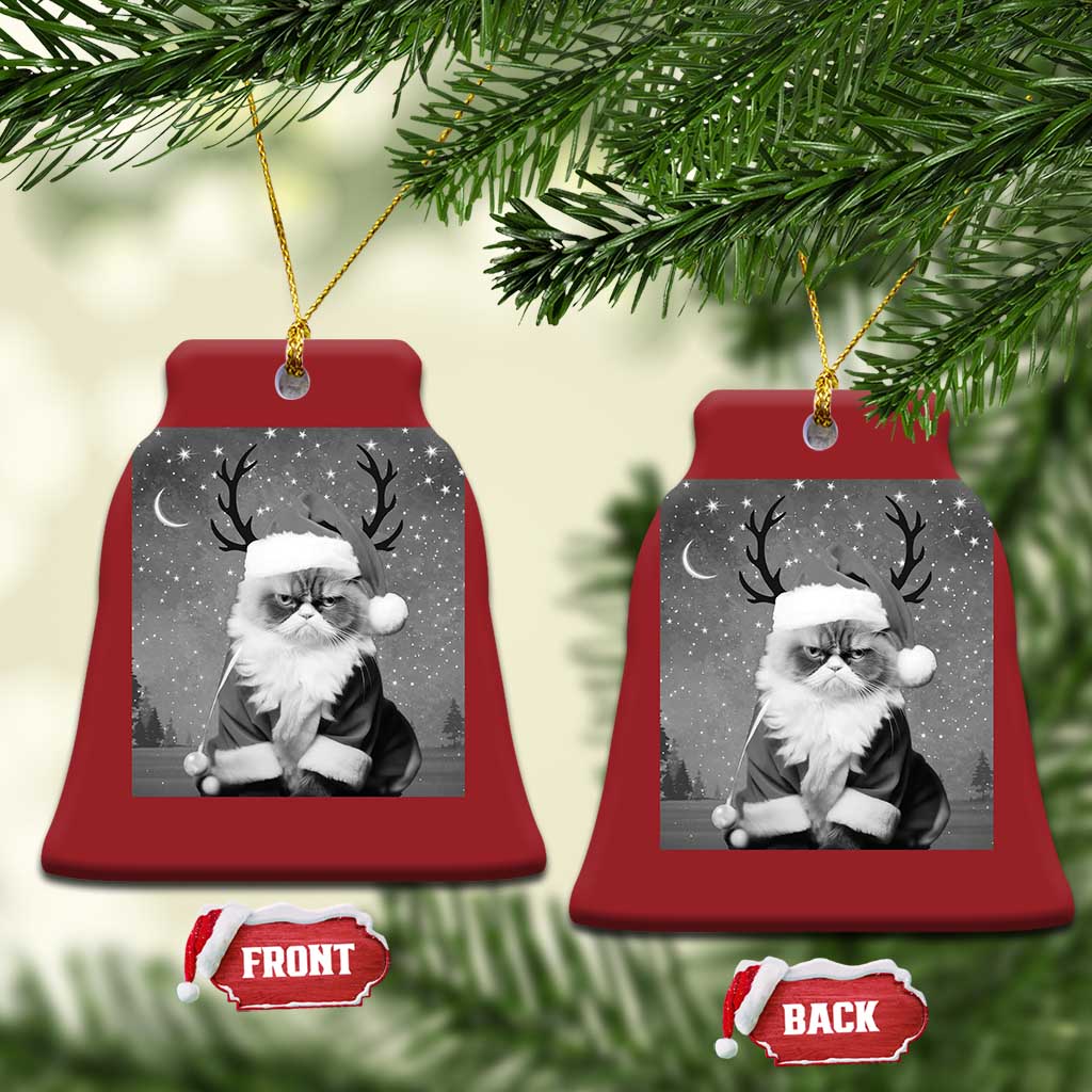 Funny Xmas Santa Grumpy Cat Christmas Ornament TS11