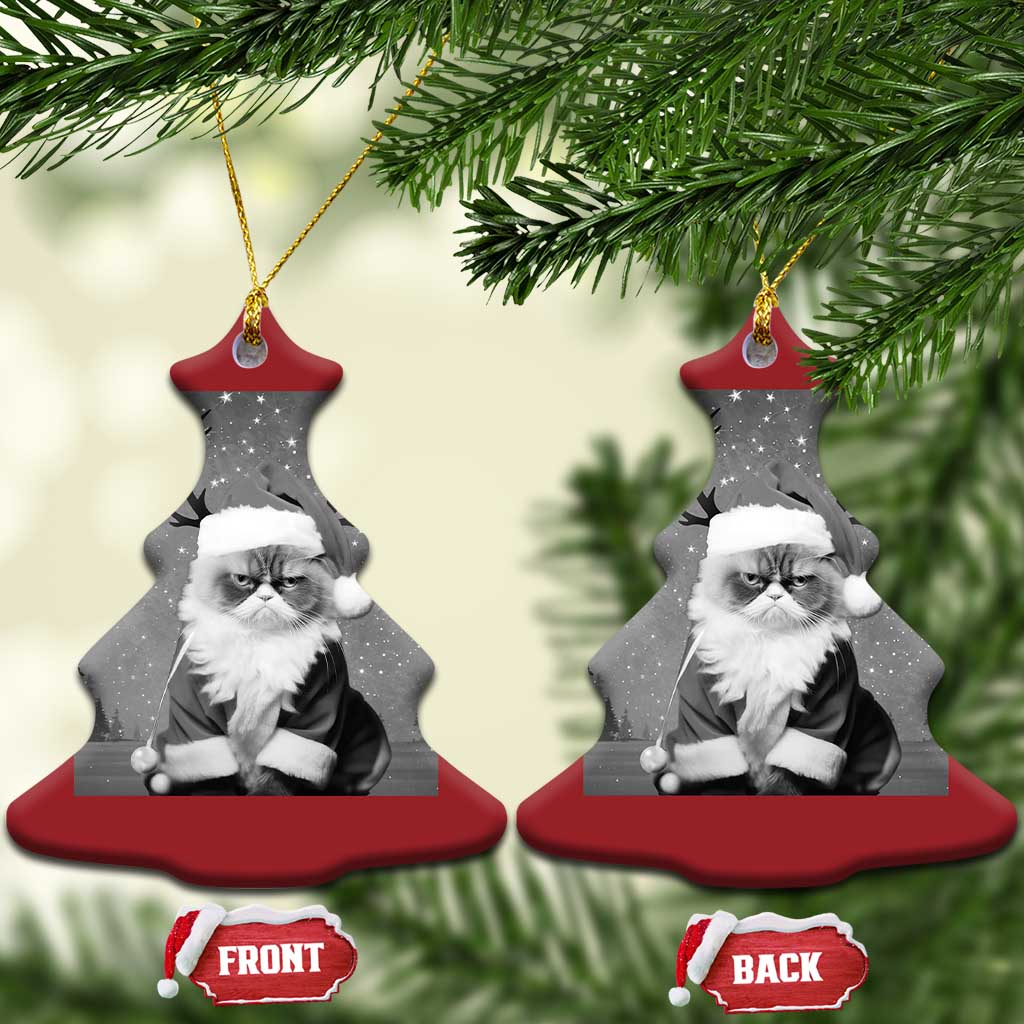 Funny Xmas Santa Grumpy Cat Christmas Ornament TS11