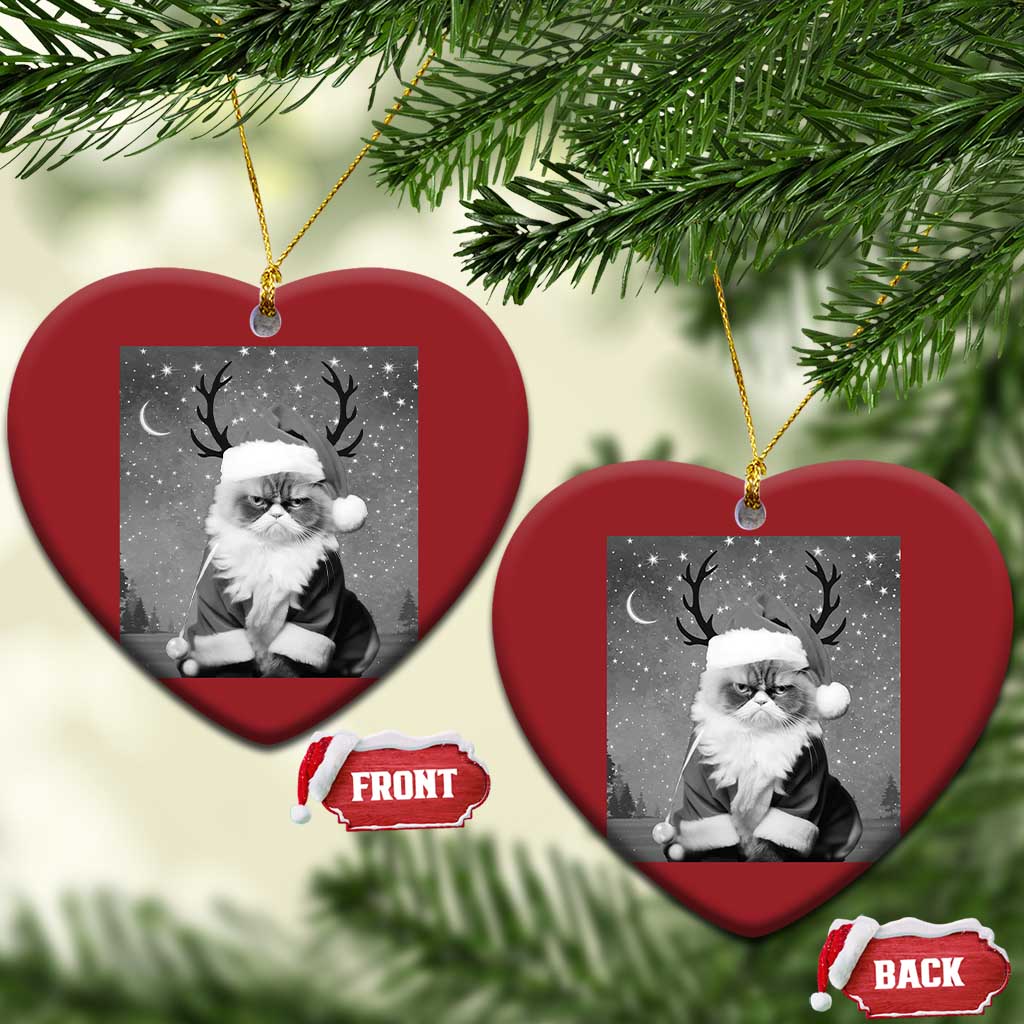 Funny Xmas Santa Grumpy Cat Christmas Ornament TS11