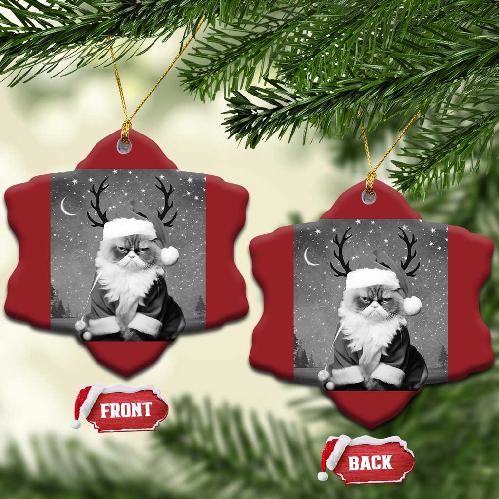 Funny Xmas Santa Grumpy Cat Christmas Ornament TS11