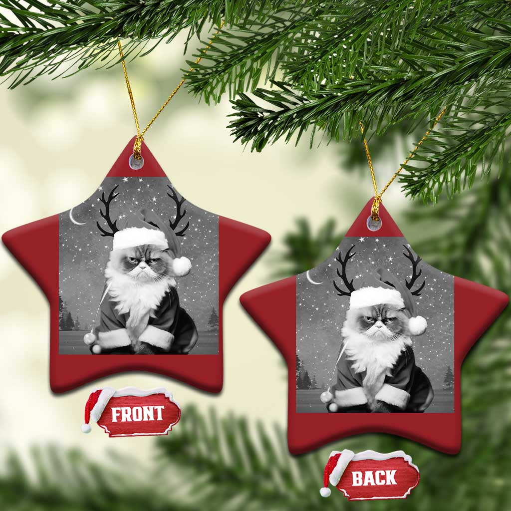 Funny Xmas Santa Grumpy Cat Christmas Ornament TS11