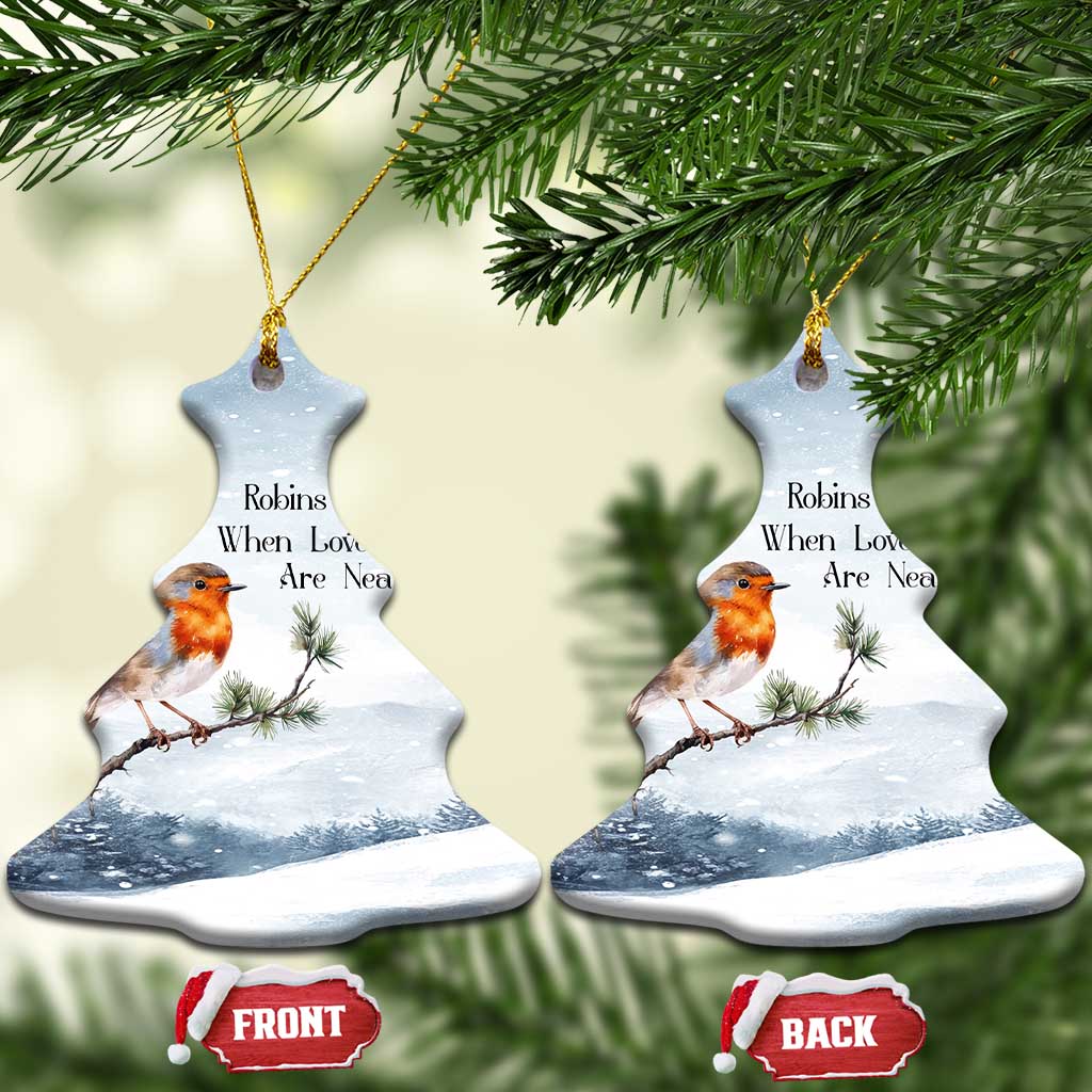 Memorial Xmas Christmas Ornament Robins Appear When Loved Ones Are Near Bird TS11