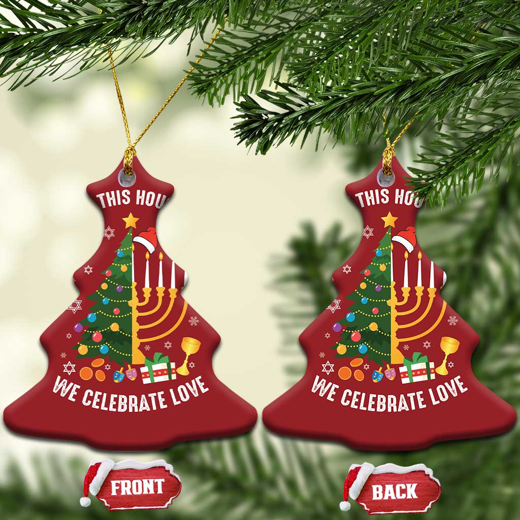Funny Chrismukkah Hanukkah Xmas Christmas Ornament In This House We Celebrate Love Xmas Tree Menorah TS11