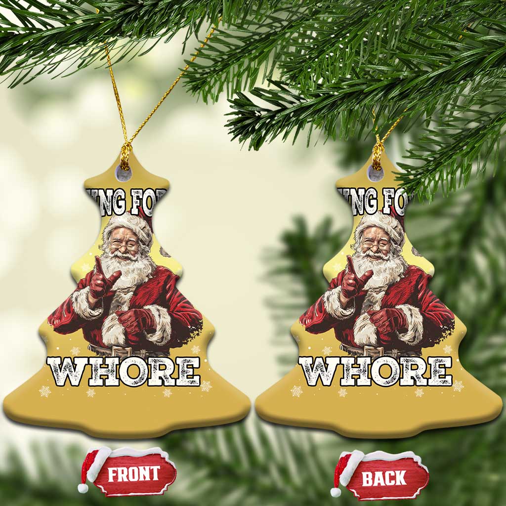 Funny Christmas Santa Christmas Ornament Nothing For You Whore Dirty Xmas Jokes TS11