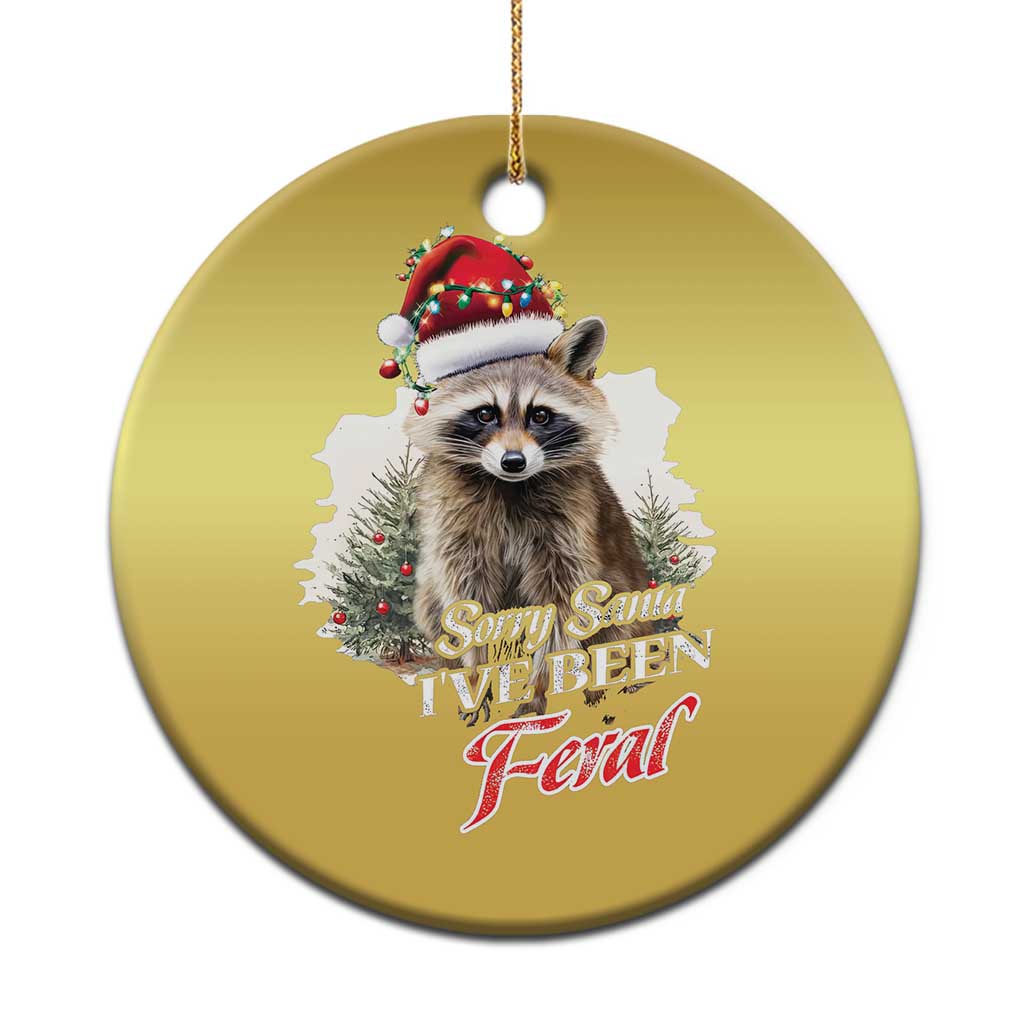 Funny Xmas Racoon Christmas Ornament Sorry Santa I've Been Feral Trash Panda TS11