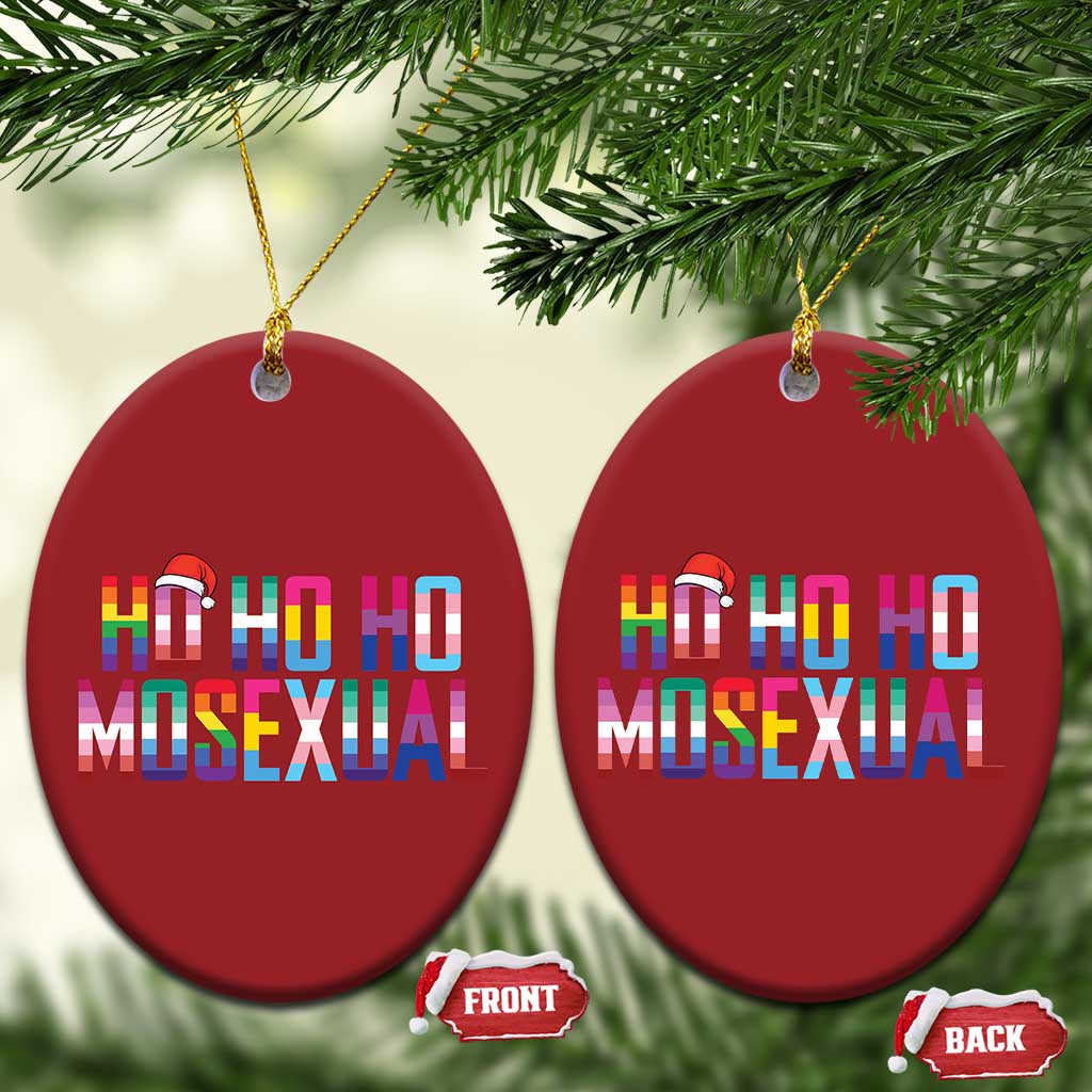 Funny LGBT Xmas Christmas Ornament Ho Ho Ho Mosexual LGBT Flag TS11