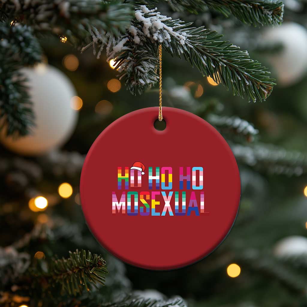Funny LGBT Xmas Christmas Ornament Ho Ho Ho Mosexual LGBT Flag TS11