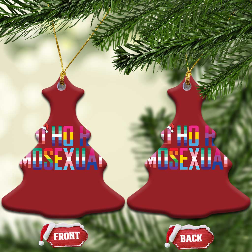 Funny LGBT Xmas Christmas Ornament Ho Ho Ho Mosexual LGBT Flag TS11