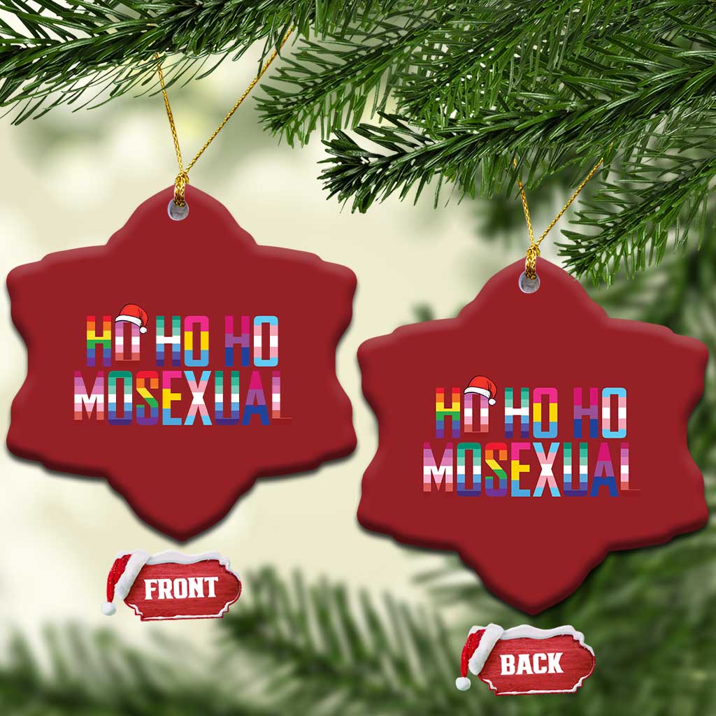 Funny LGBT Xmas Christmas Ornament Ho Ho Ho Mosexual LGBT Flag TS11