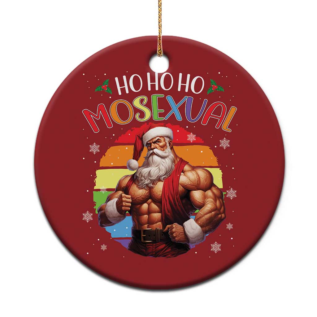 Funny Xmas LGBT Christmas Ornament Ho Ho Ho Mosexual Rainbow Santa TS11