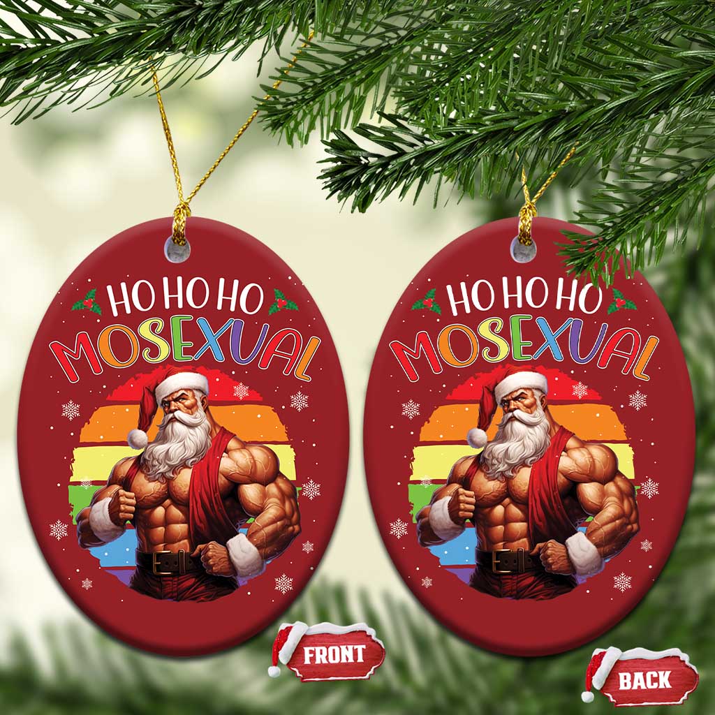 Funny Xmas LGBT Christmas Ornament Ho Ho Ho Mosexual Rainbow Santa TS11
