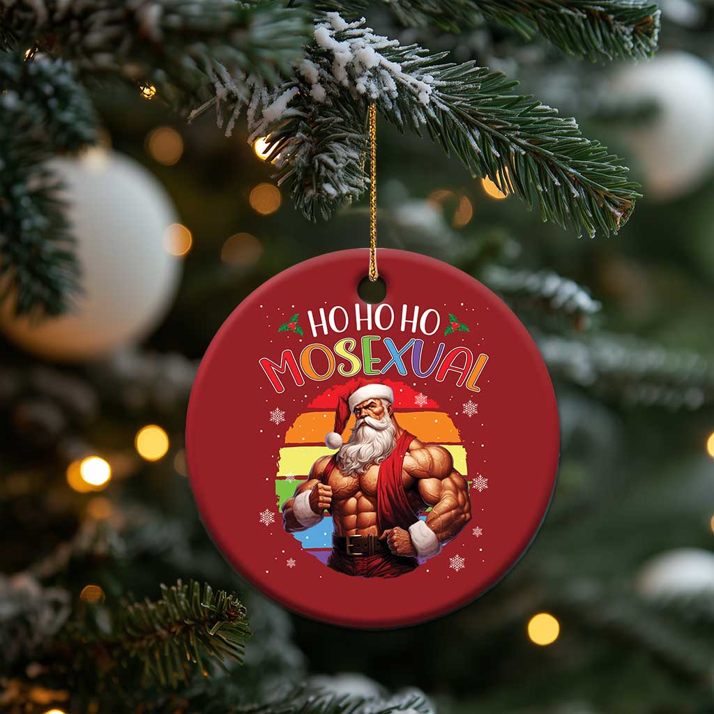 Funny Xmas LGBT Christmas Ornament Ho Ho Ho Mosexual Rainbow Santa TS11