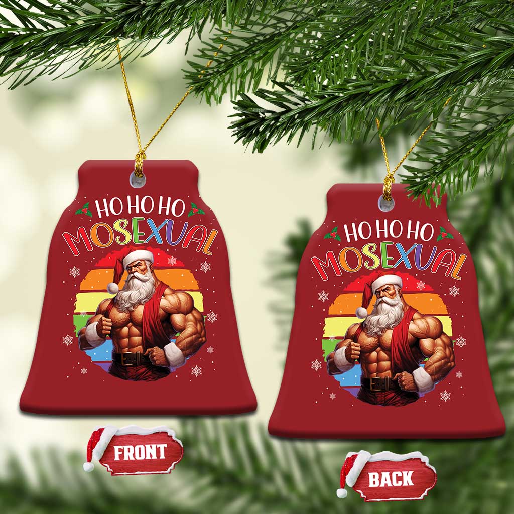 Funny Xmas LGBT Christmas Ornament Ho Ho Ho Mosexual Rainbow Santa TS11