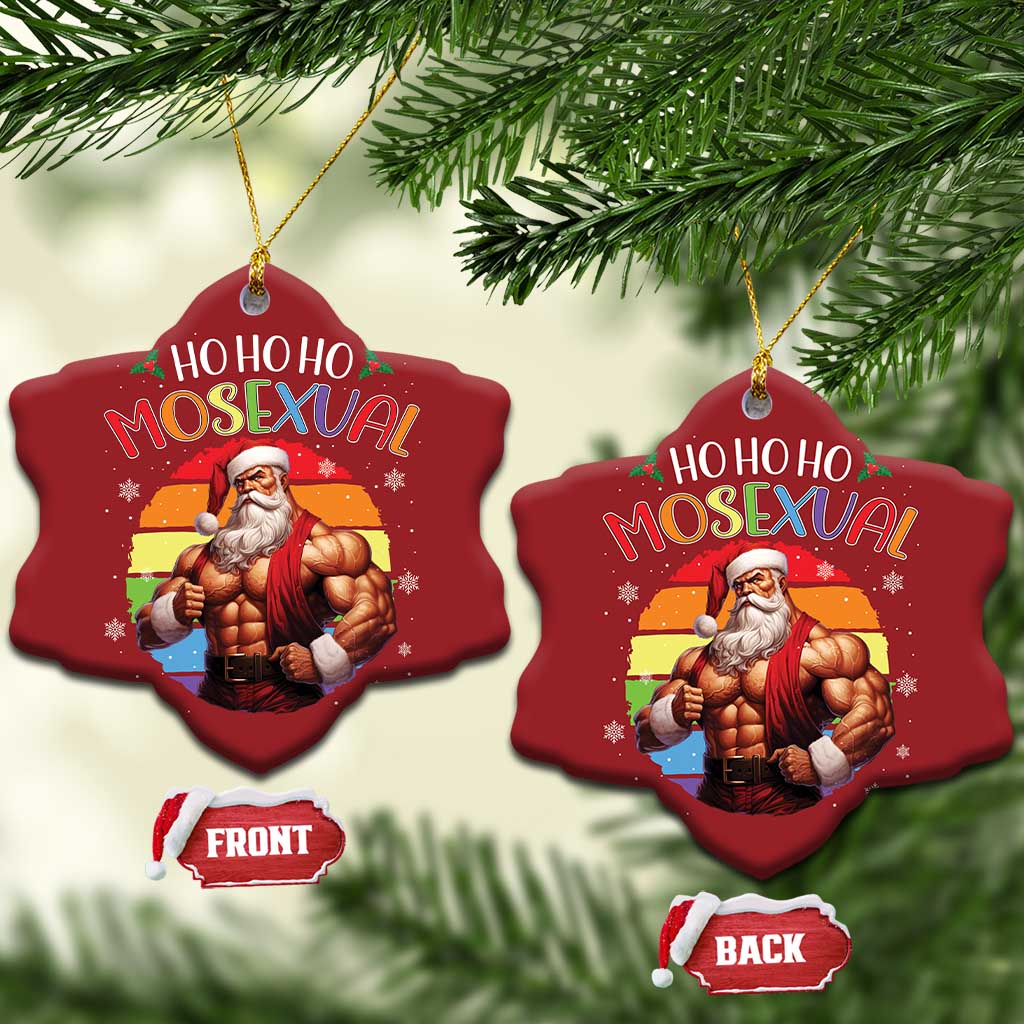 Funny Xmas LGBT Christmas Ornament Ho Ho Ho Mosexual Rainbow Santa TS11