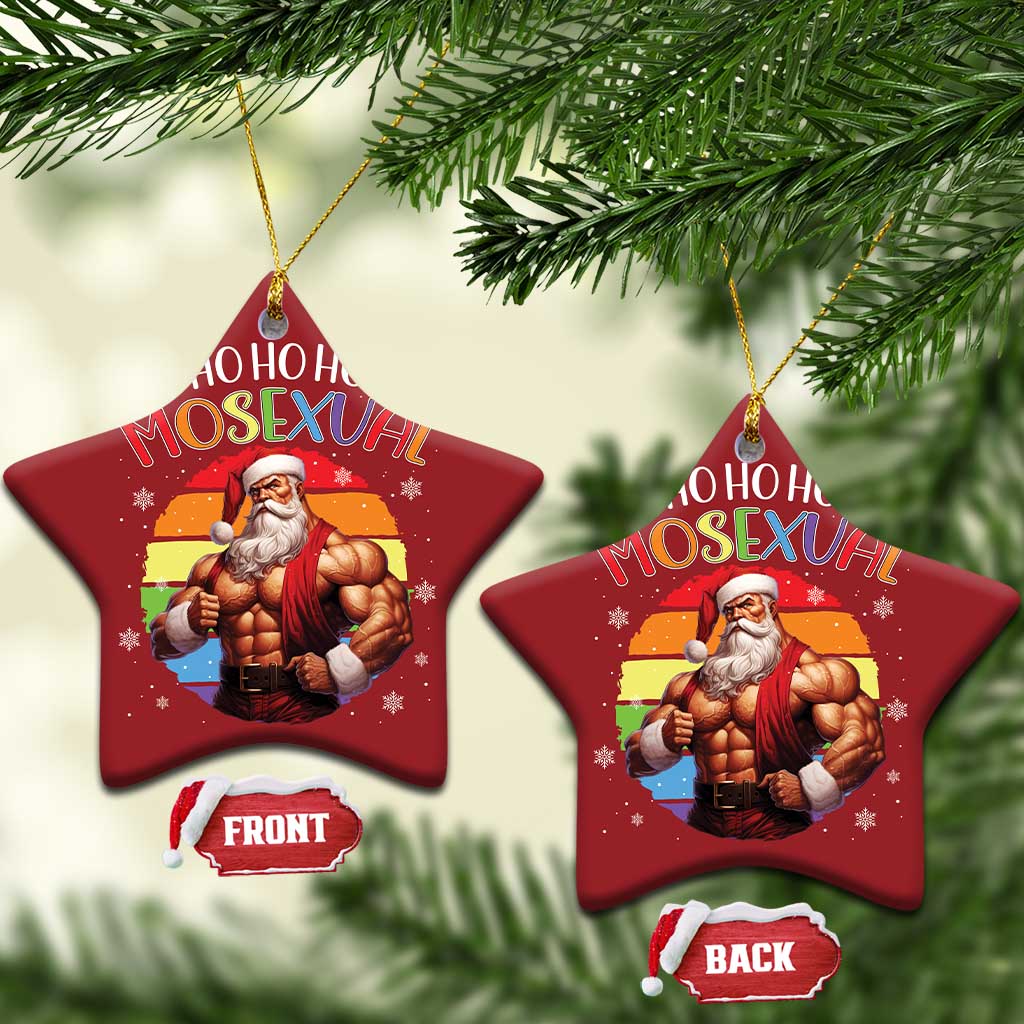Funny Xmas LGBT Christmas Ornament Ho Ho Ho Mosexual Rainbow Santa TS11