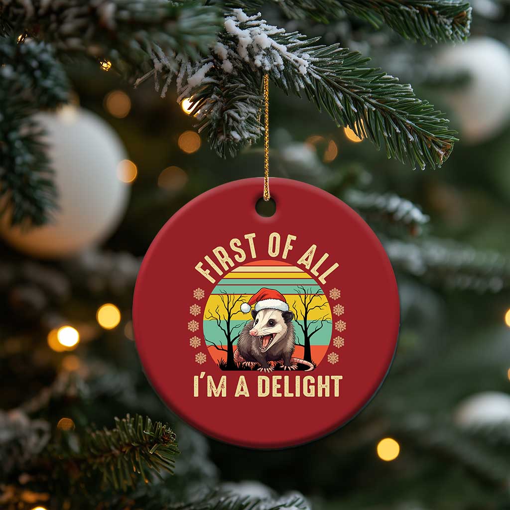 Funny First Of All I'm A Delight Christmas Ornament Angry Opossum Possum Xmas TS11