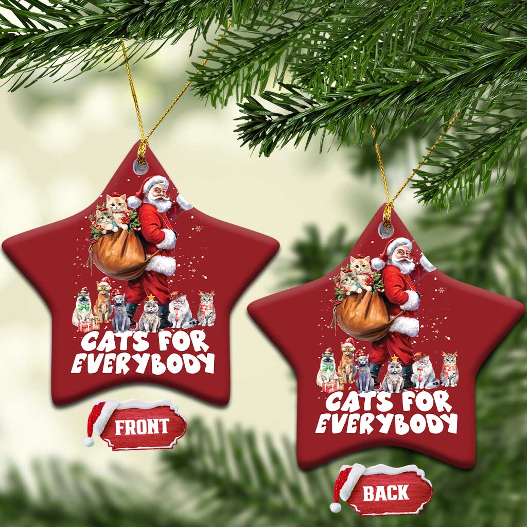 Funny Xmas Cat Christmas Ornament Cats For Everybody Xmas Santa Pet TS11