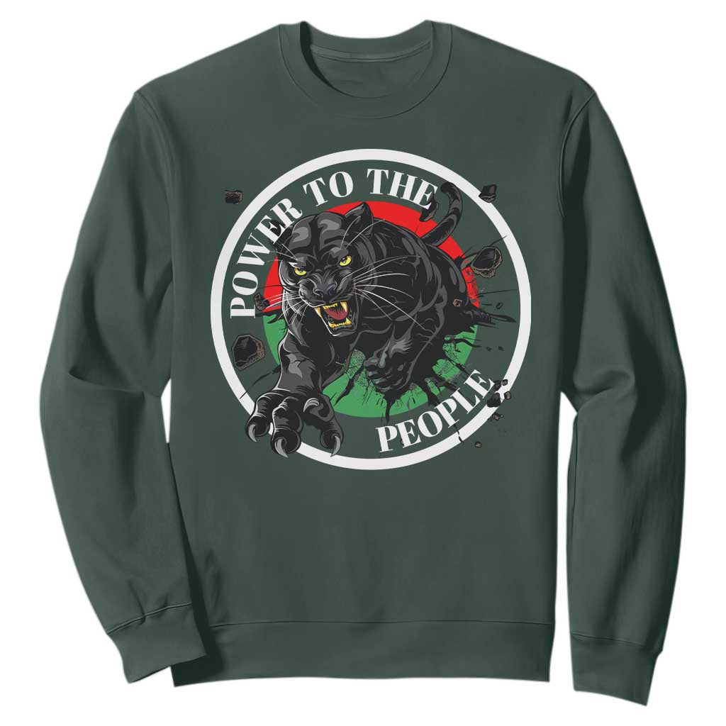 Power To The People Black Panther Party Sweatshirt Proud Black History Month TS11