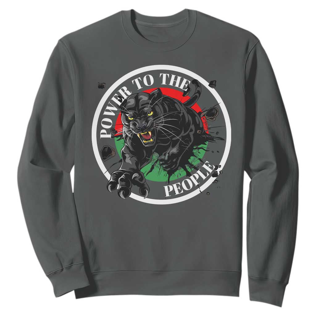 Power To The People Black Panther Party Sweatshirt Proud Black History Month TS11